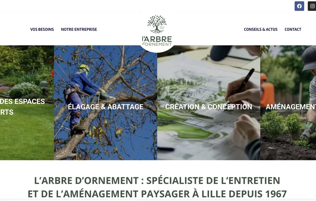 L'Arbre d'Ornement