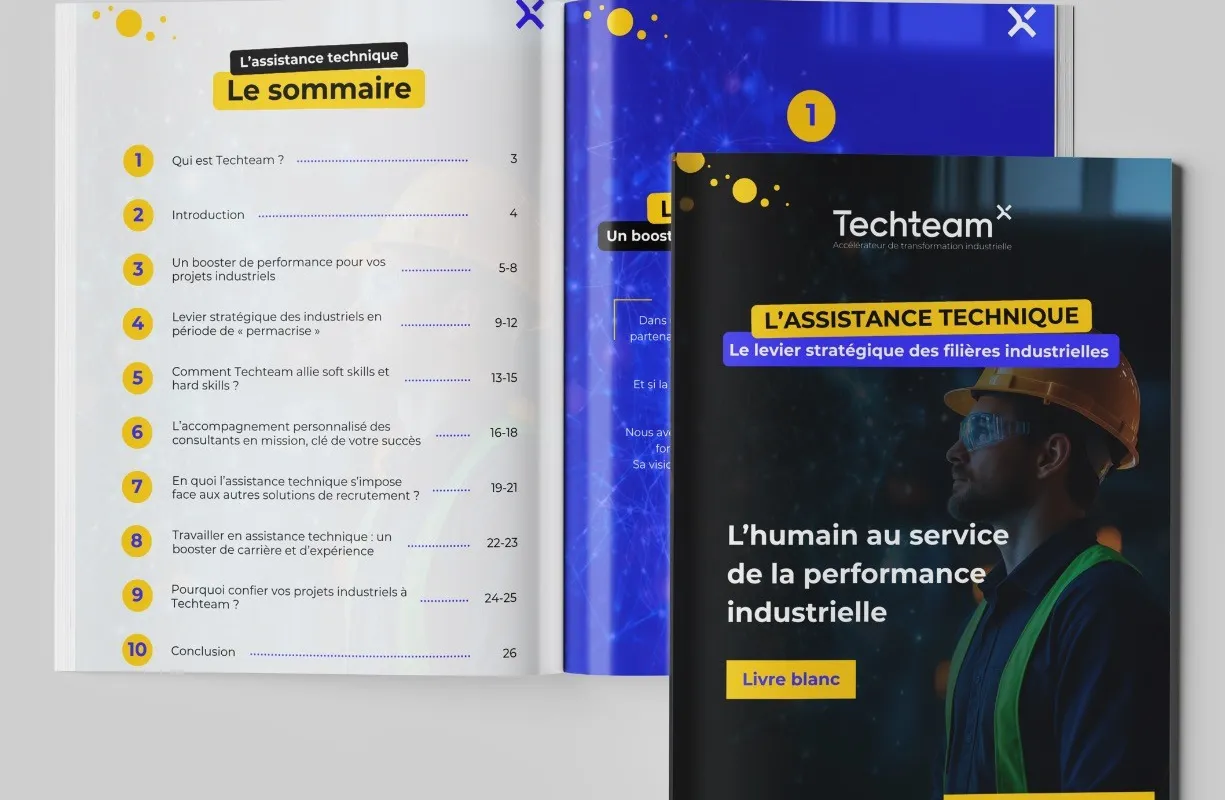 TECHTEAM, visuel 2